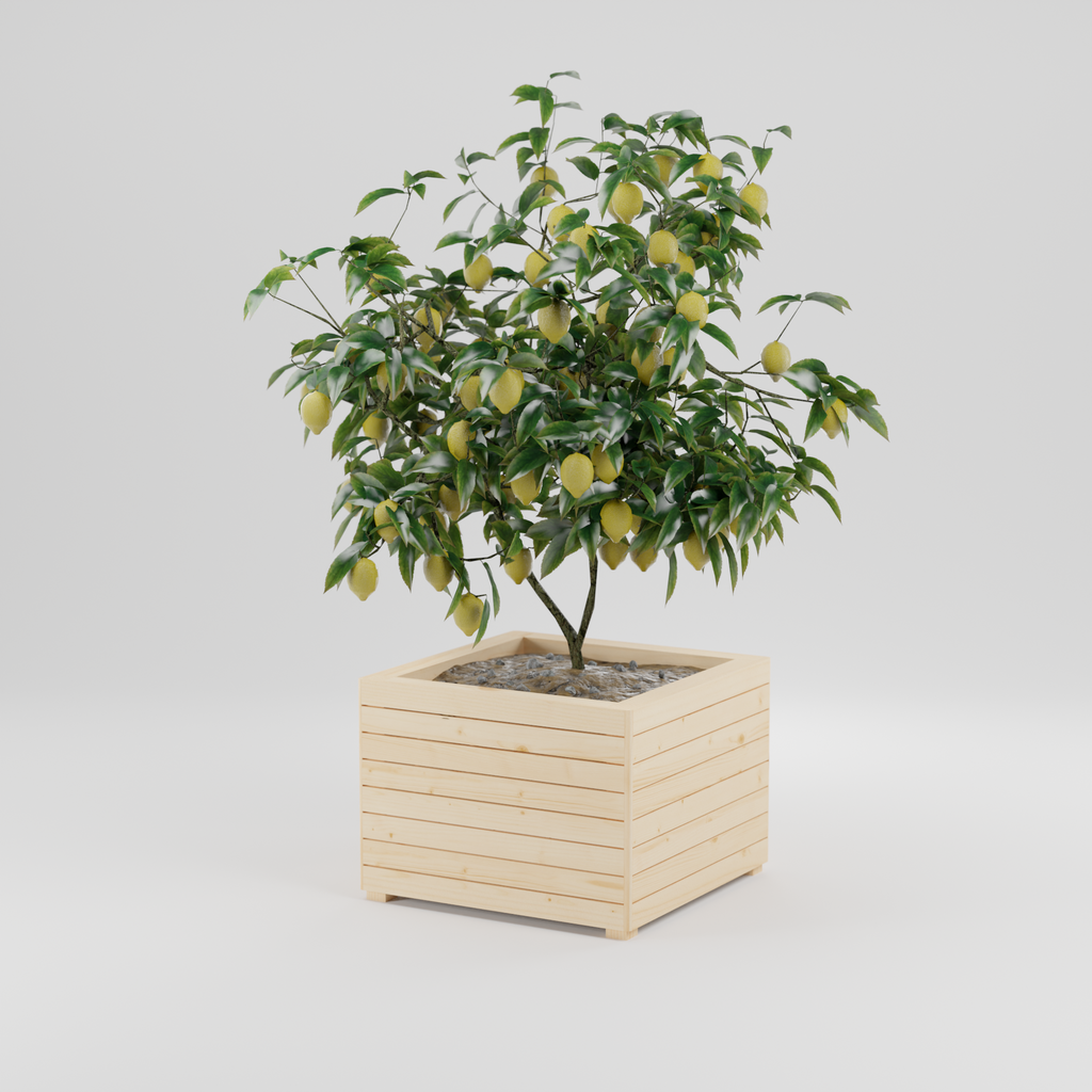 Modern planter box collection, Build plans
