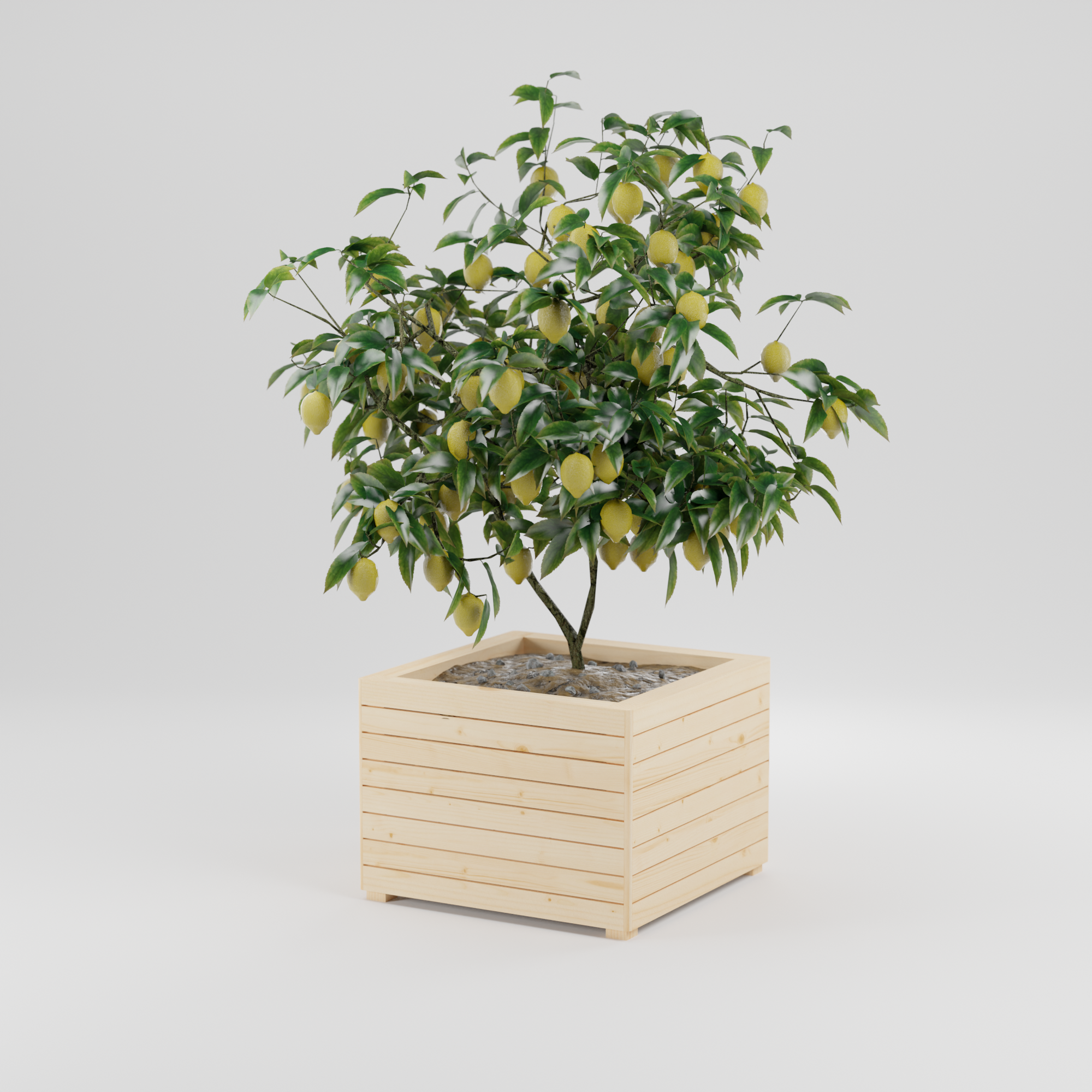 Modern planter box collection, Build plans