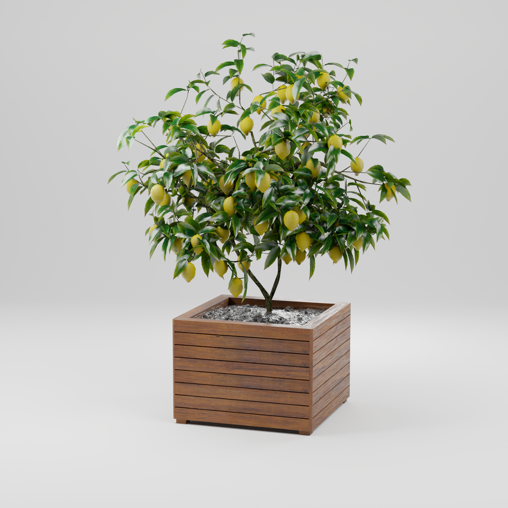 Modern planter box with slats, Build plans