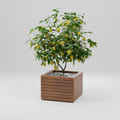 Modern planter box with slats, Build plans