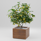 Modern planter box with slats, Build plans