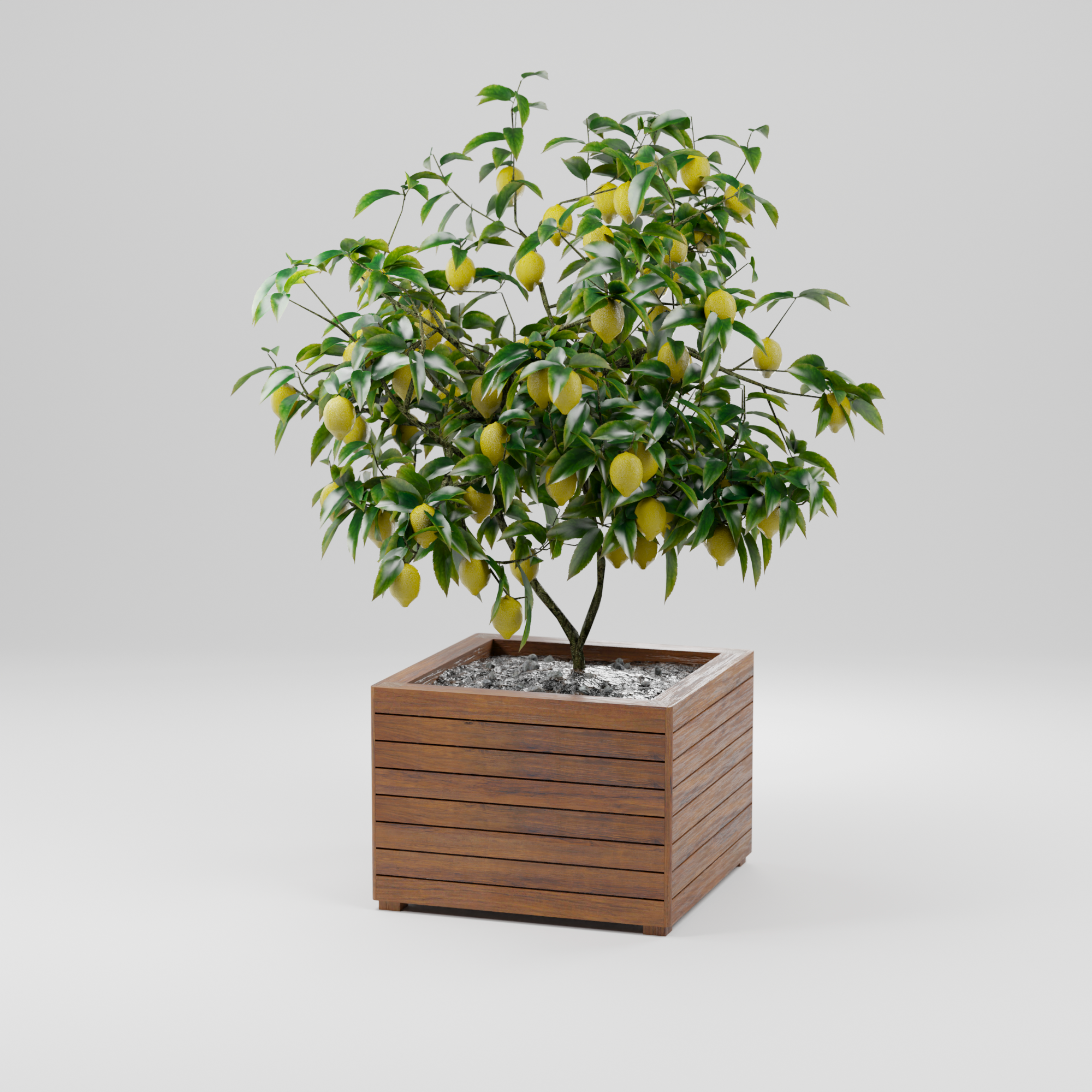 Modern planter box with slats, Build plans